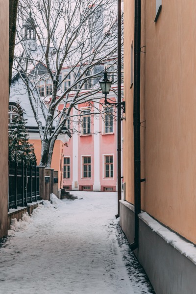 A winter's Day in Tallinn's Old Town
