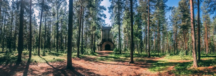 Rajamäki and the Molotov Cocktail