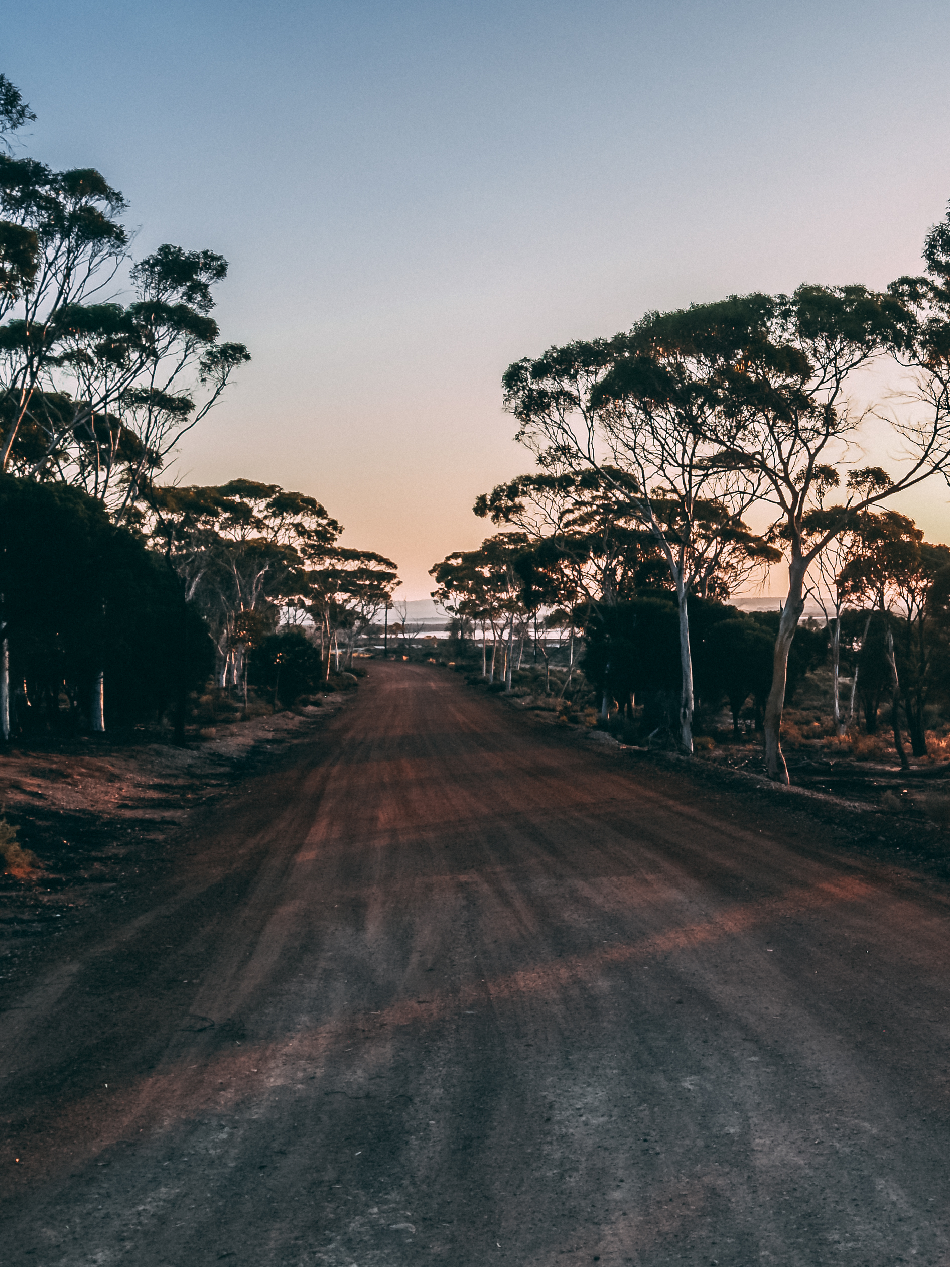Crossing the Nullarbor