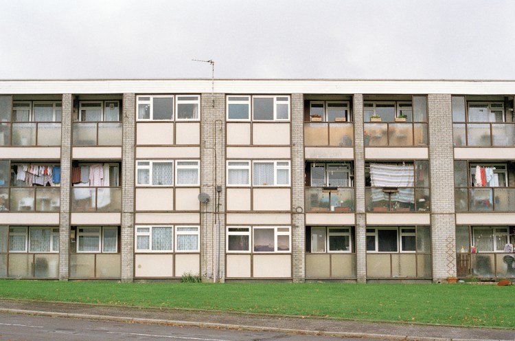 And it began with a tree