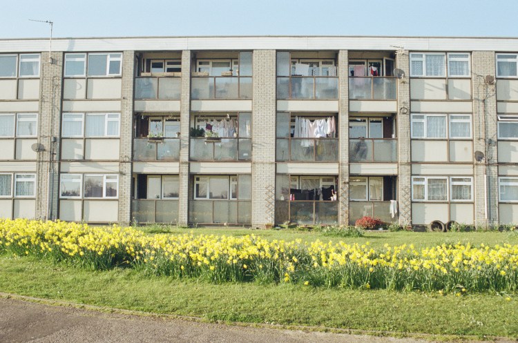 And it began with a tree